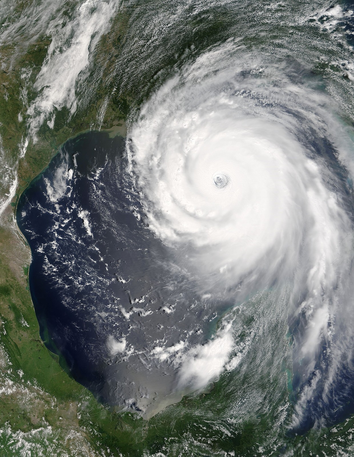 Hurricane satellite image