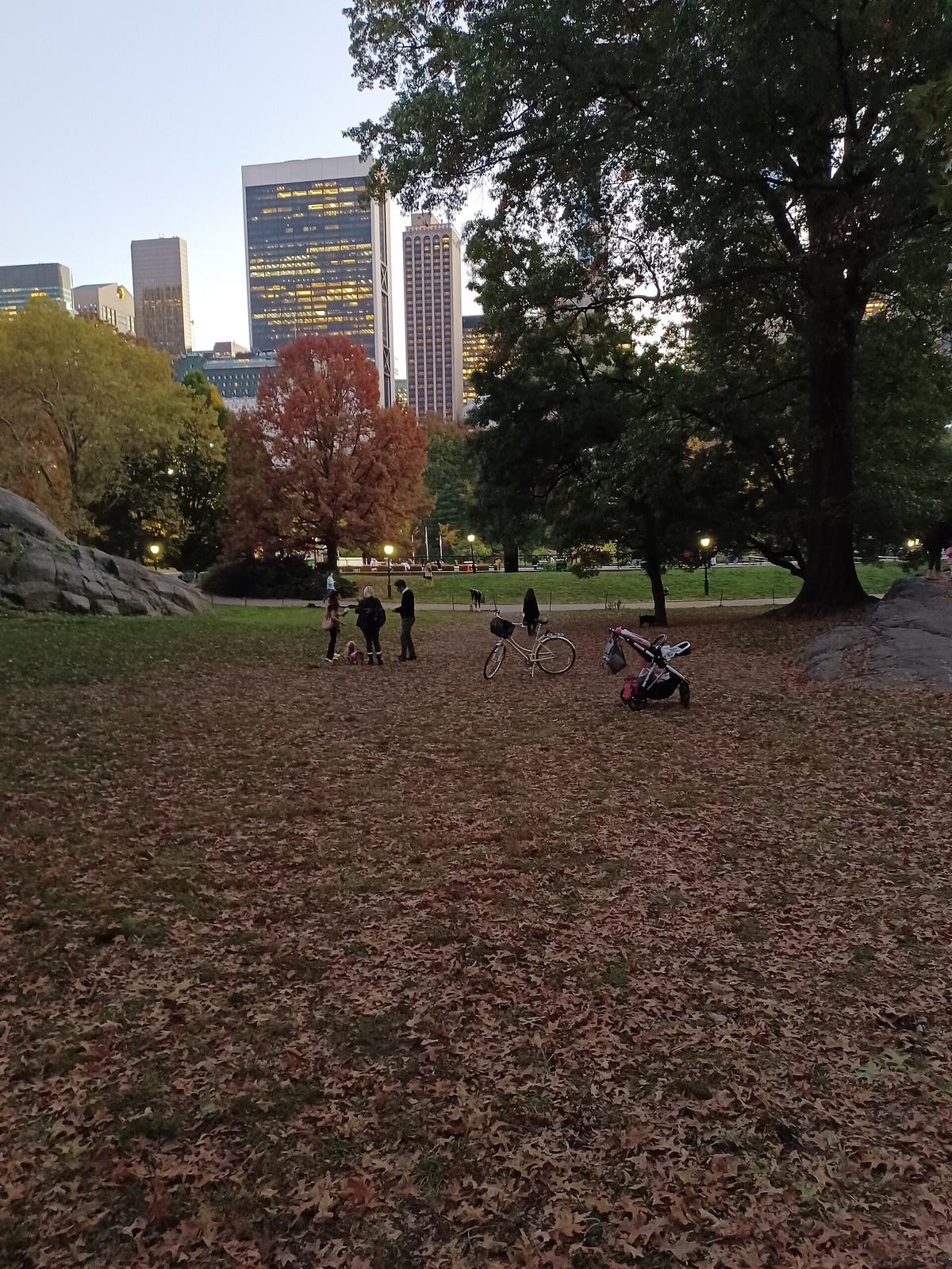 Autumn foliage in Central Park