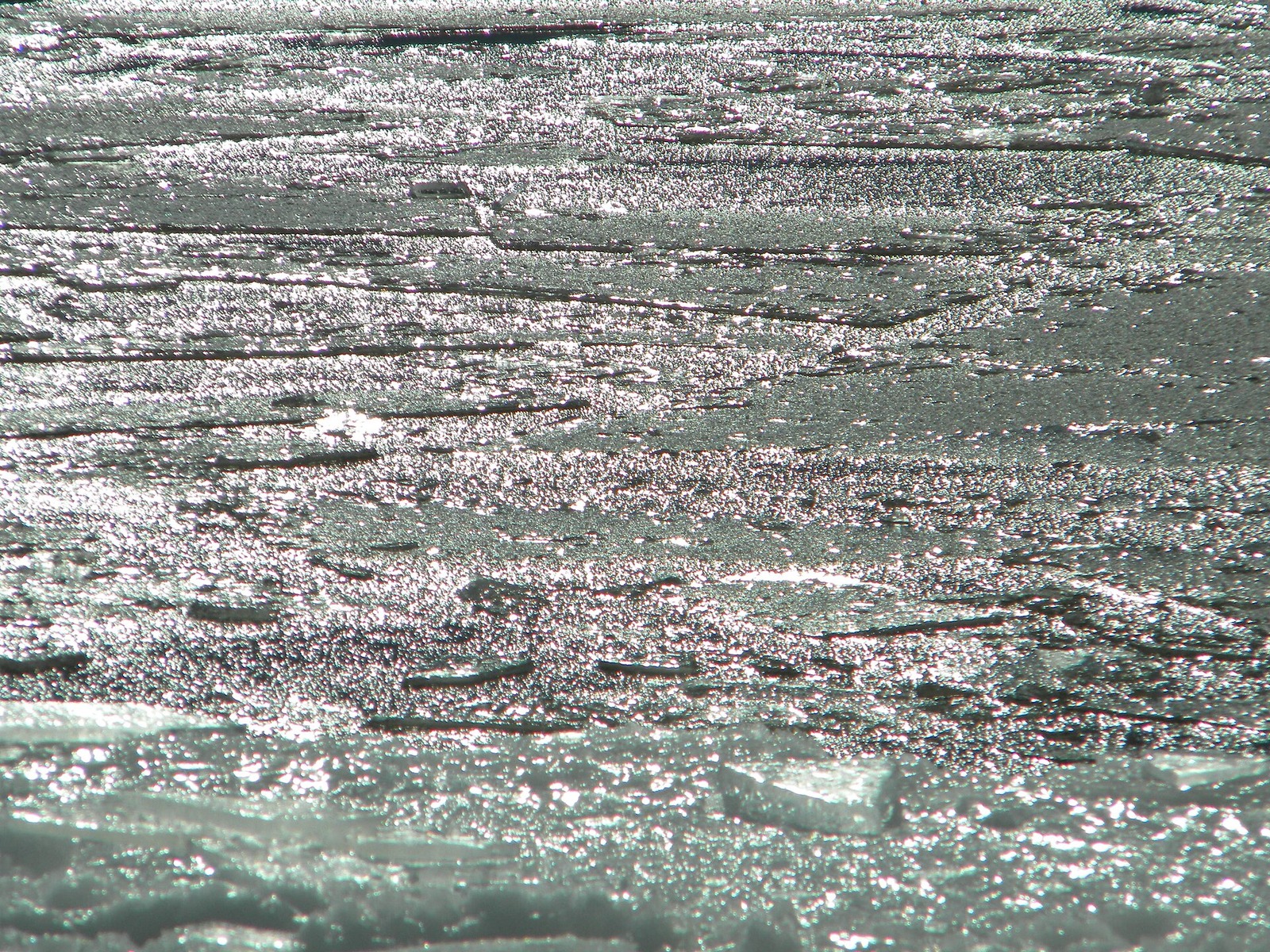 Sea ice landscape