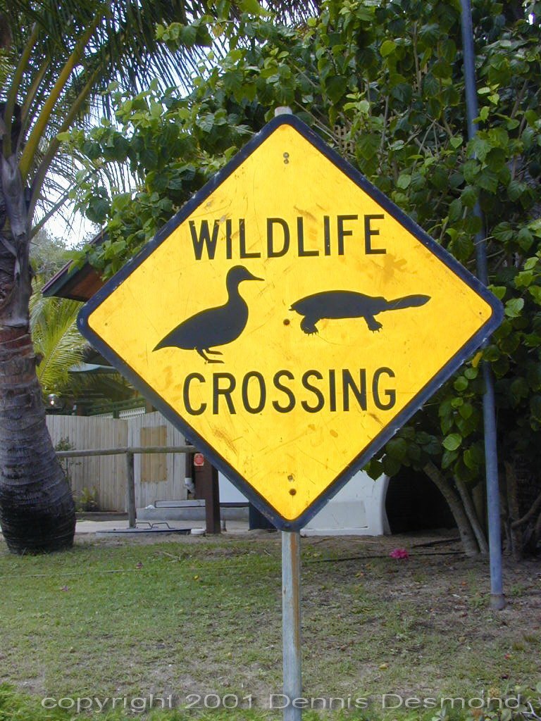 Wildlife habitat near a roadway underpass