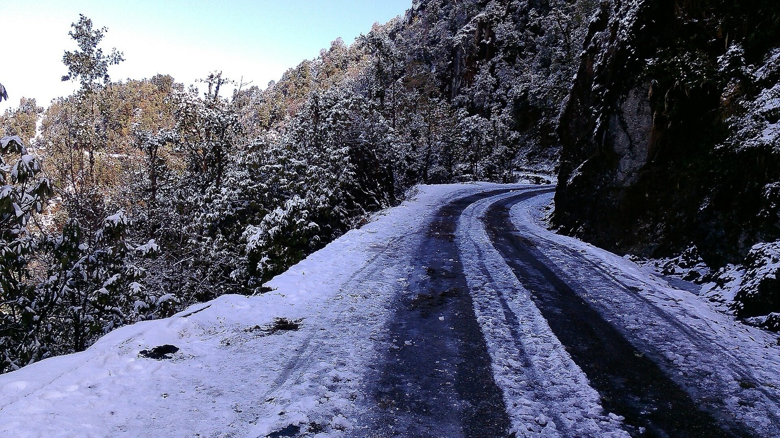 Snowfall on a mountain forest road with tire tracks through evergreen slopes