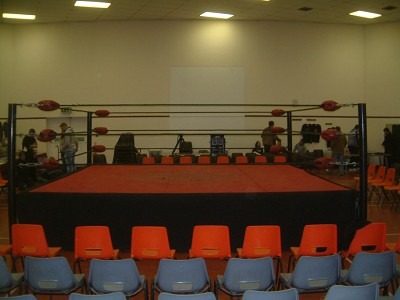 Professional wrestlers in a ring before a crowd