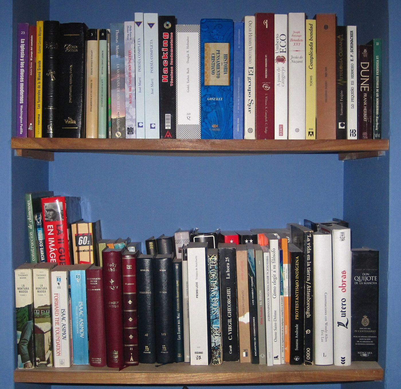 Bookshelf of hardcover and paperback books for book-to-screen adaptation context