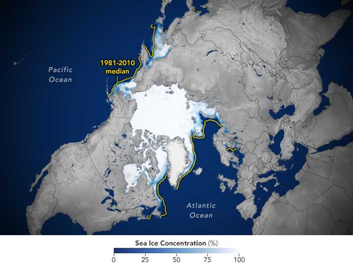 Satellite map of Arctic sea ice concentration