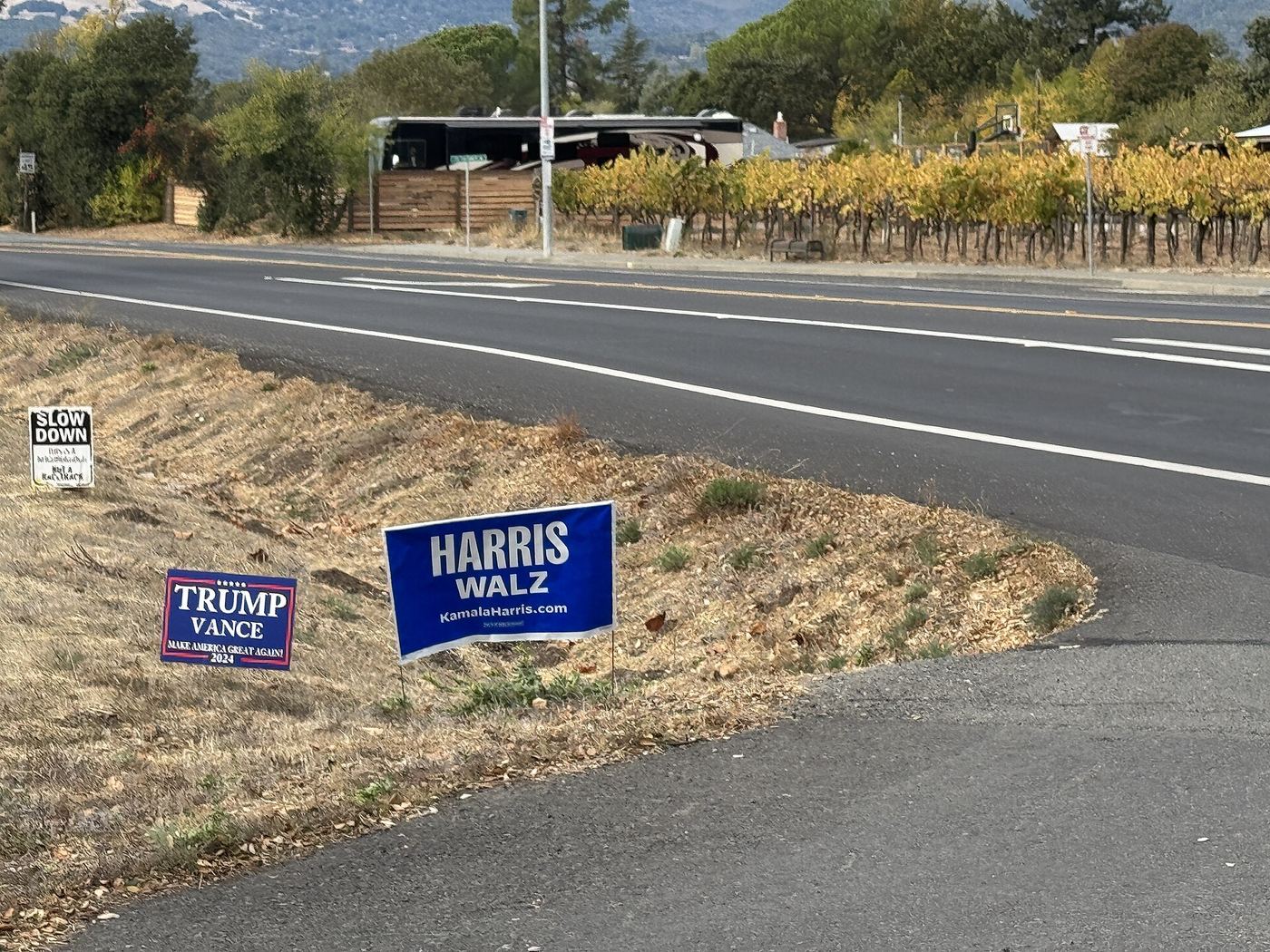 Political campaign yard signs on a residential lawn