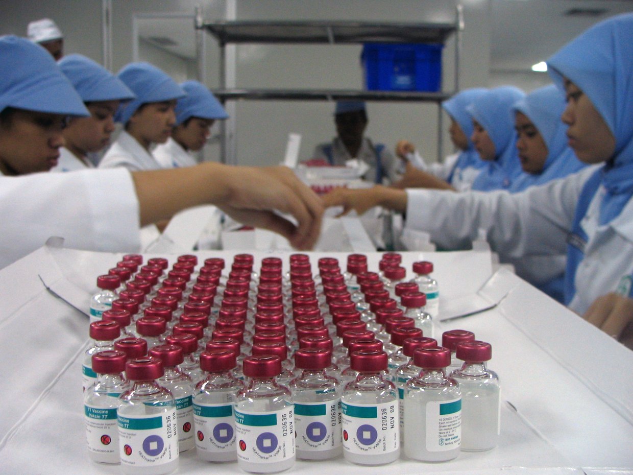 Rows of vaccine vials on a production line