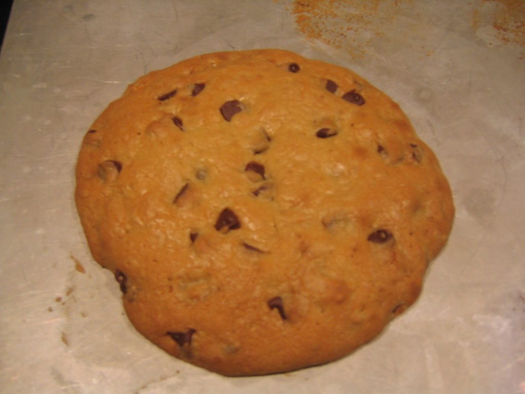 Large chocolate chip cookie