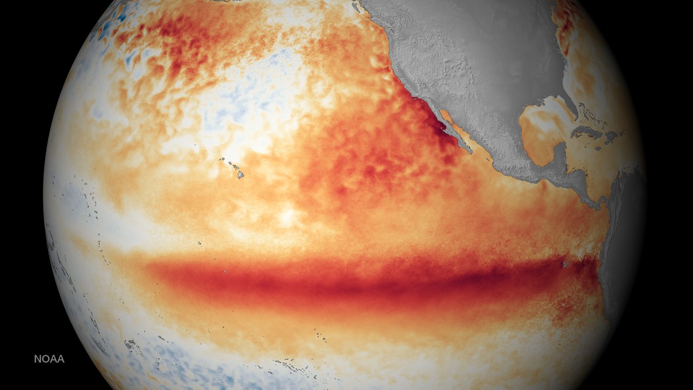 NOAA satellite map of sea surface temperatures above normal across the tropical Pacific during the strong El Niño of October 2015