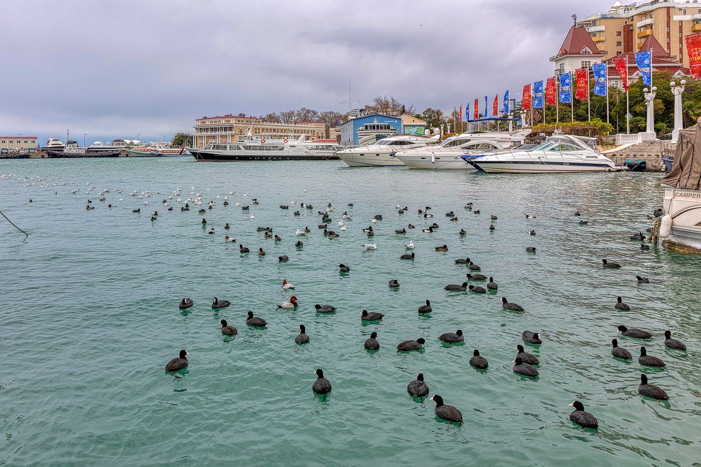 The seaport of Sochi on Russia's Black Sea coast in December