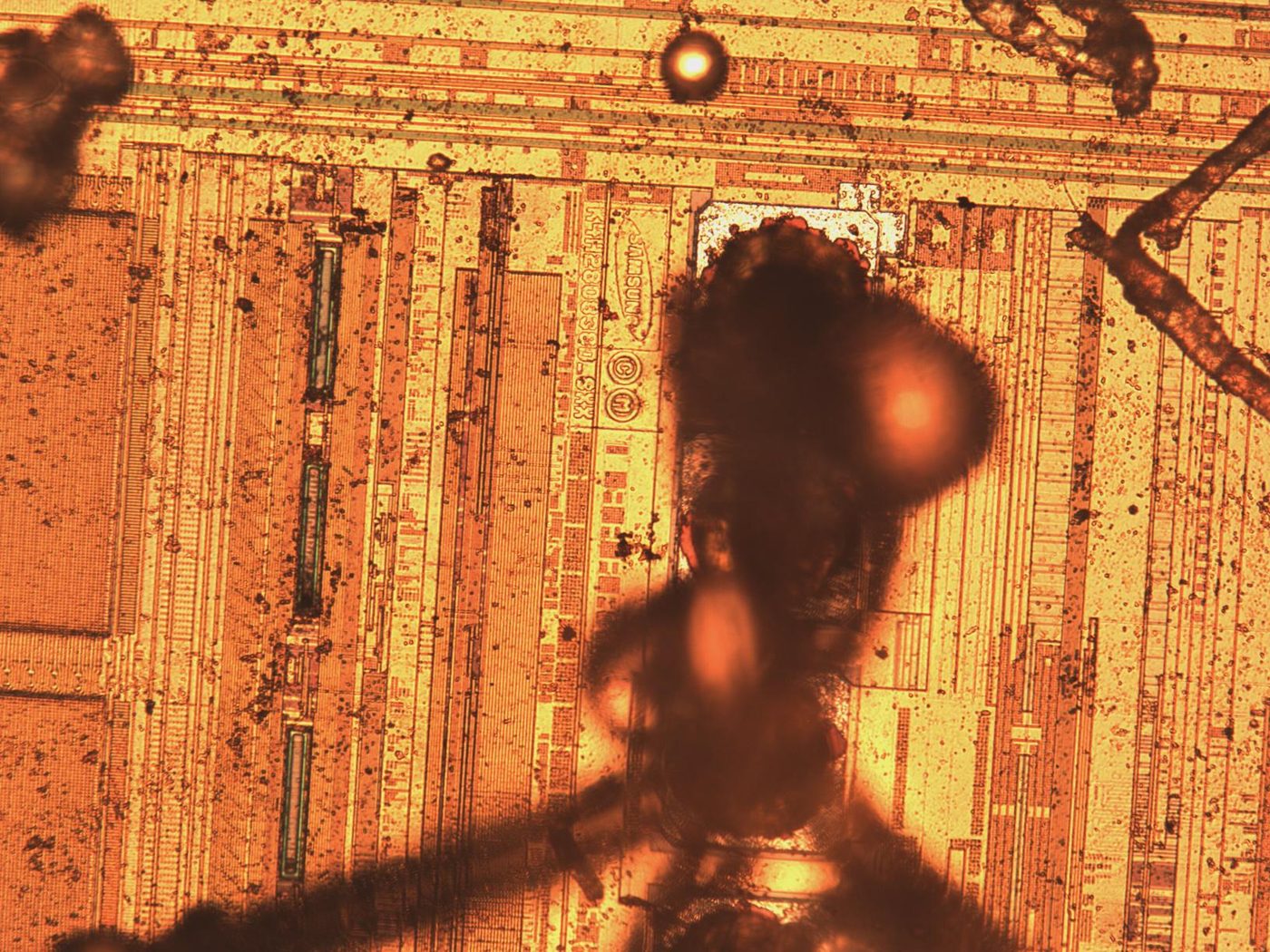 A microscope view of the silicon die of a Samsung memory chip