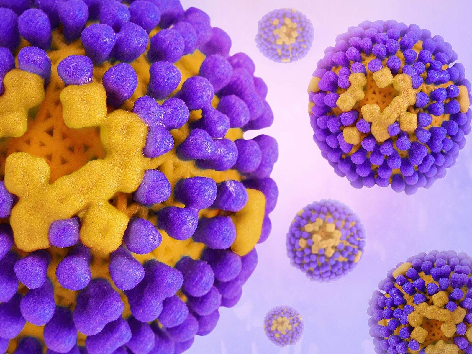Illustration of influenza virus particles