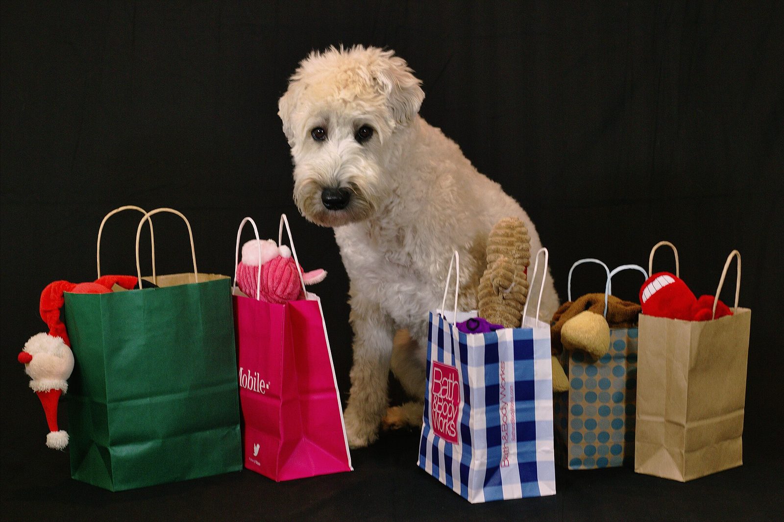 A dog sitting among holiday shopping bags