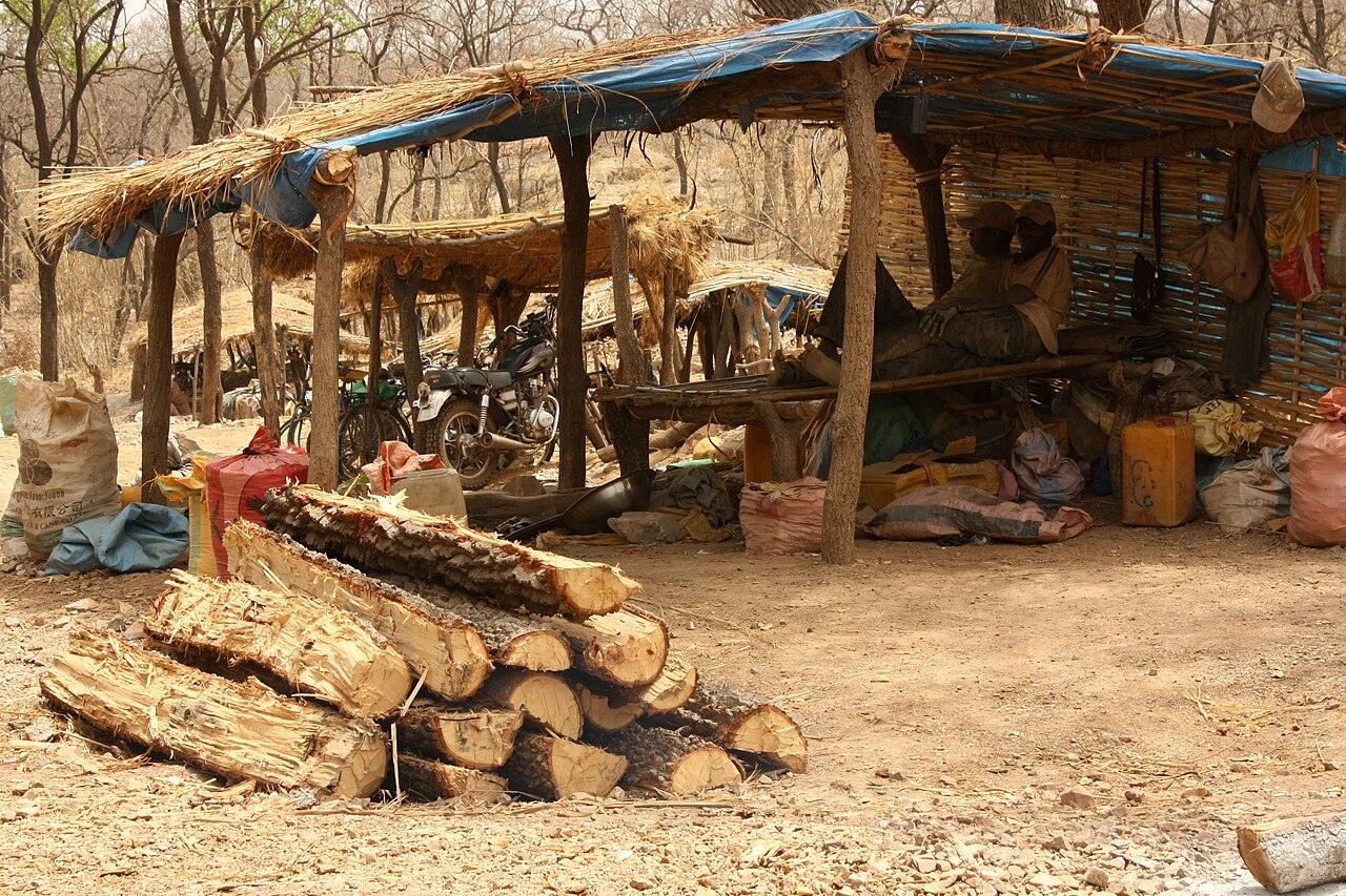 An artisanal gold miners' camp in eastern Senegal, showing the kind of site used by small-scale miners