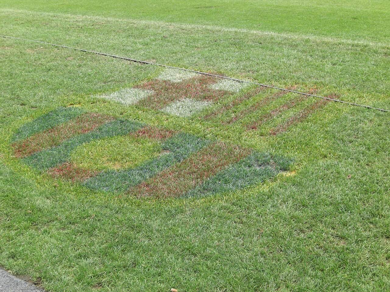 The FC Barcelona crest mown into the grass of a soccer pitch