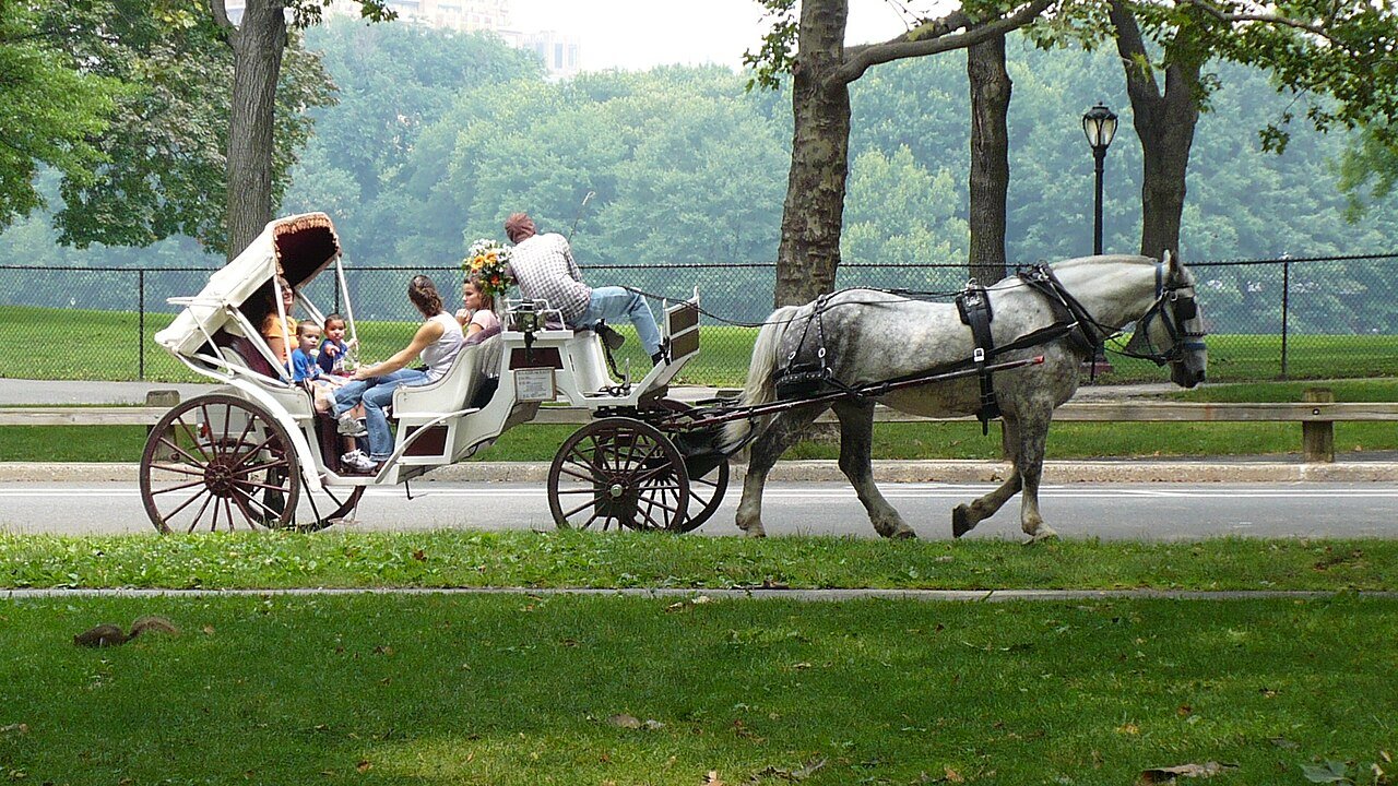 A horse-drawn carriage in Central Park