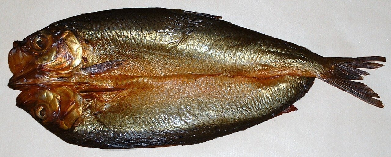 A split and smoked kipper herring