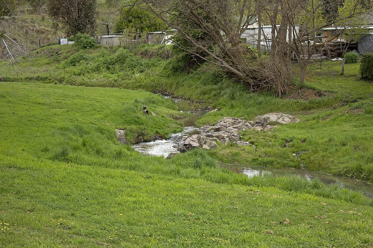 The Belubula River flowing through grassland near Carcoar, New South Wales