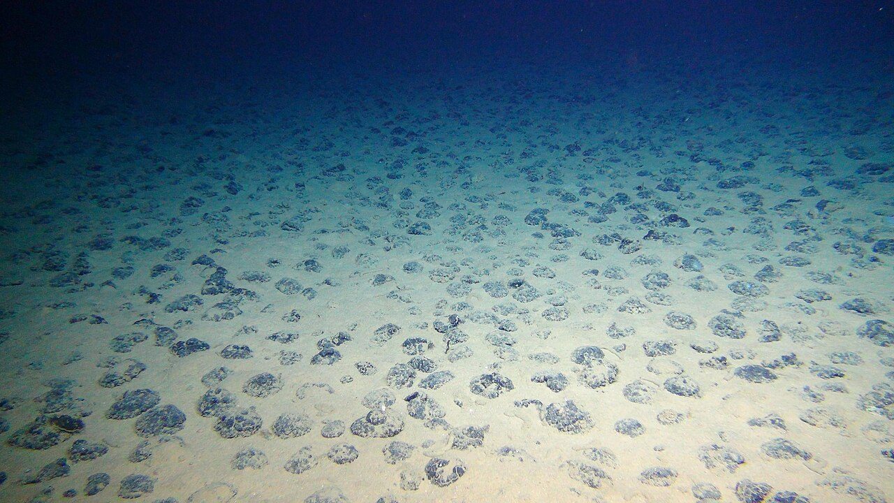 Manganese nodules scattered across the seafloor in the Clarion-Clipperton Zone, photographed by a remotely operated vehicle in 2015