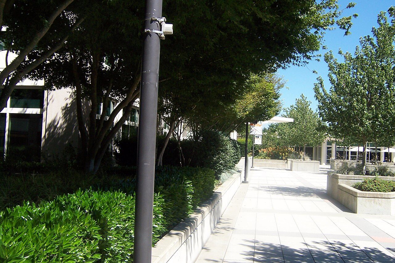 A paved walkway lined with trees and shrubs between office buildings on a sunny day