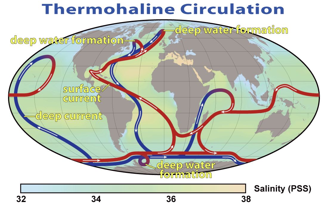 A world map showing red surface currents and blue deep currents looping through the Atlantic, Pacific and Indian oceans, titled Thermohaline Circulation
