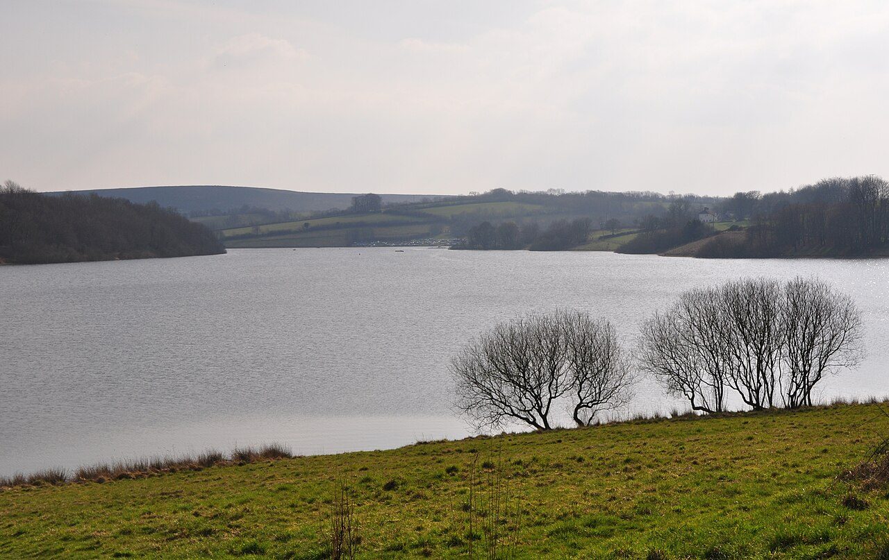 A wide reservoir framed by green hills under a gray sky, with bare trees on a grassy bank