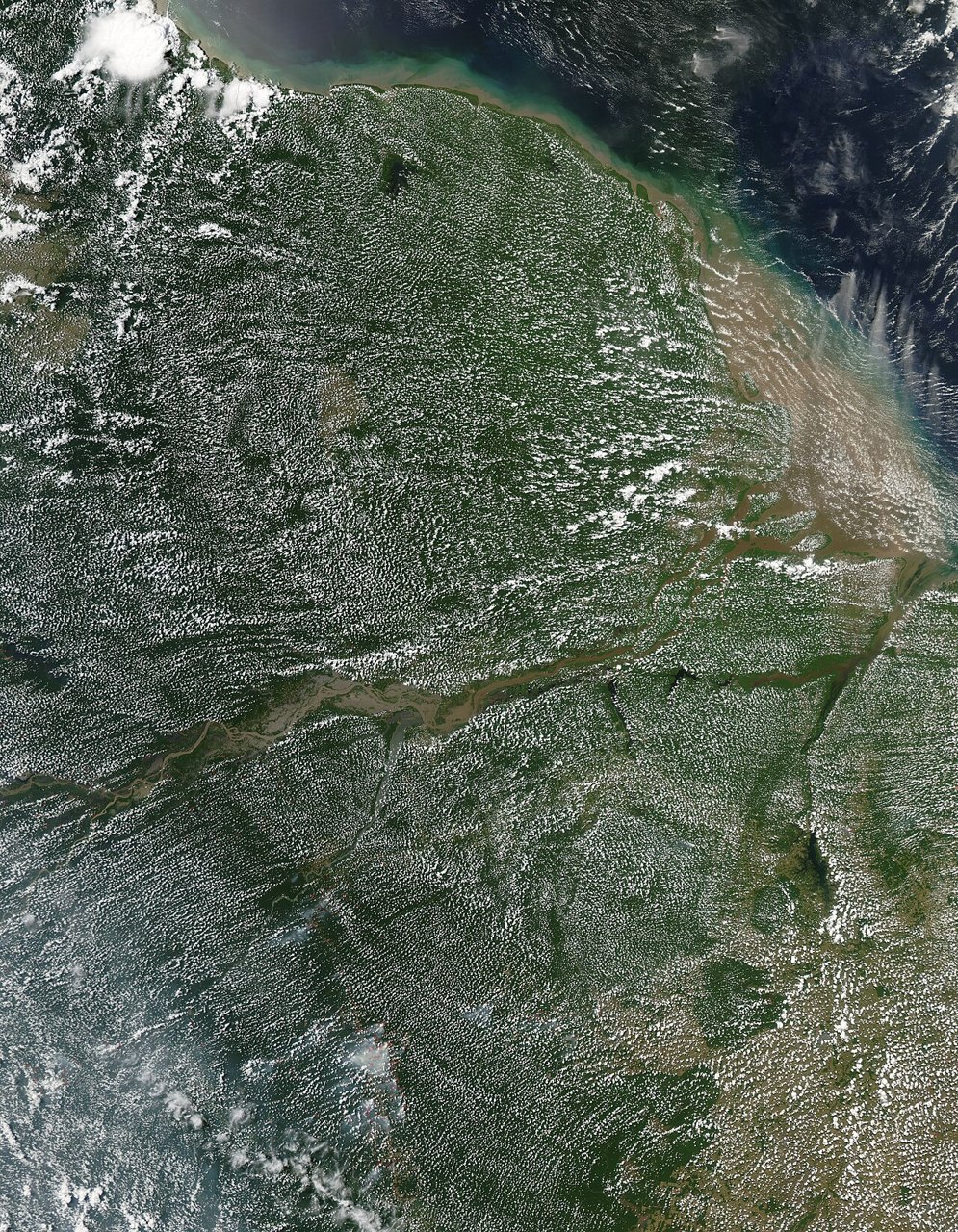 A satellite view of the Amazon rainforest covered with small white clouds, with rivers winding through the green forest