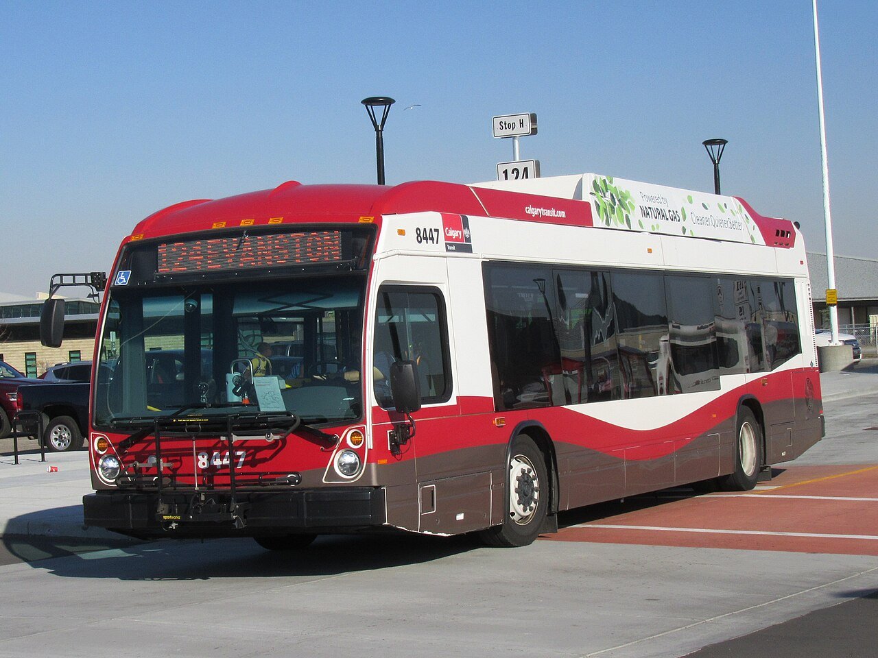 A red and white Calgary Transit city bus on route 124 to Evanston pulls through a bus terminal on a sunny day
