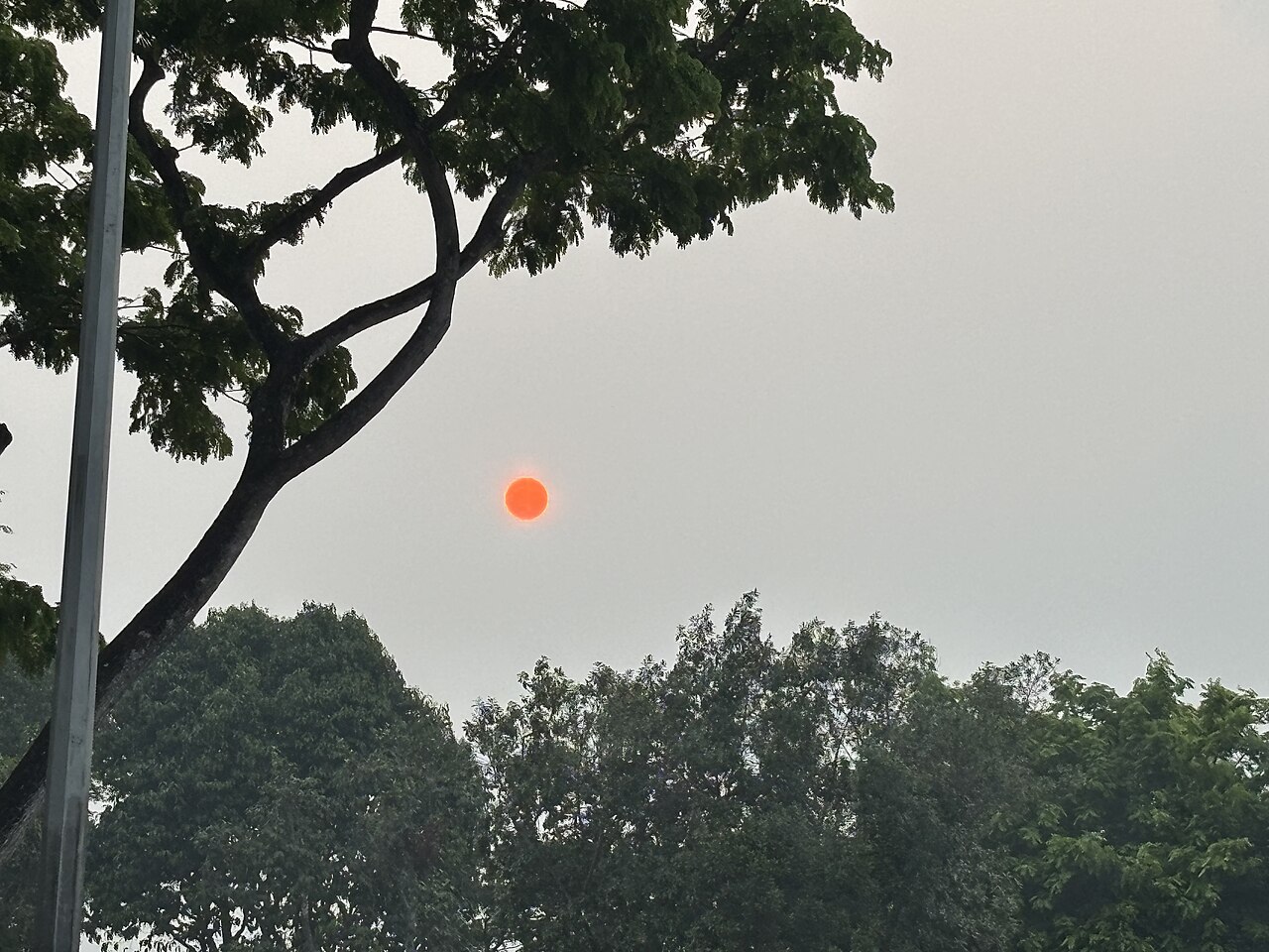 A gray, hazy sky over trees and a lamp post along a Singapore road, with the sun showing as a small orange disc