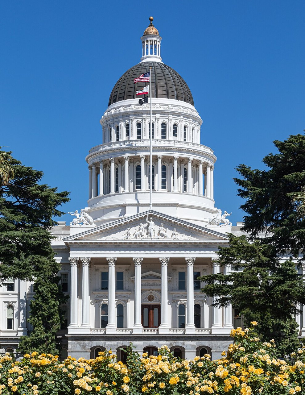 The white domed California State Capitol building under a blue sky, with yellow flowers in front