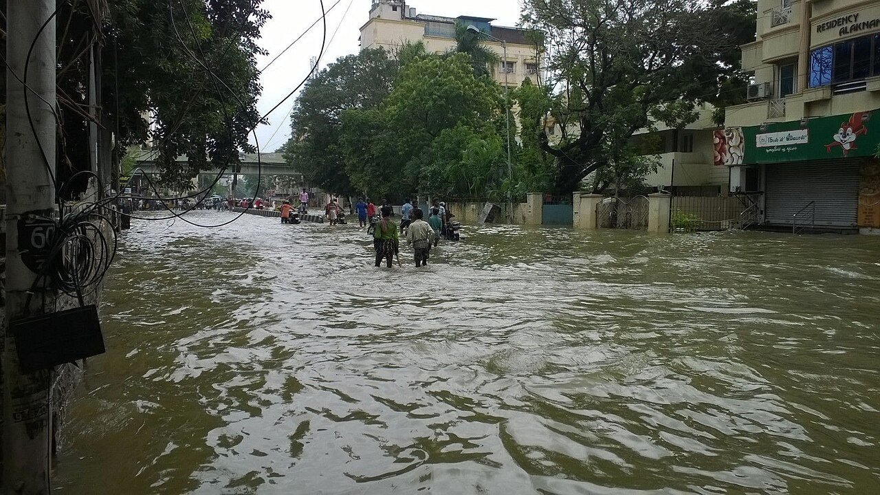 People wade through a flooded city street lined with trees and buildings