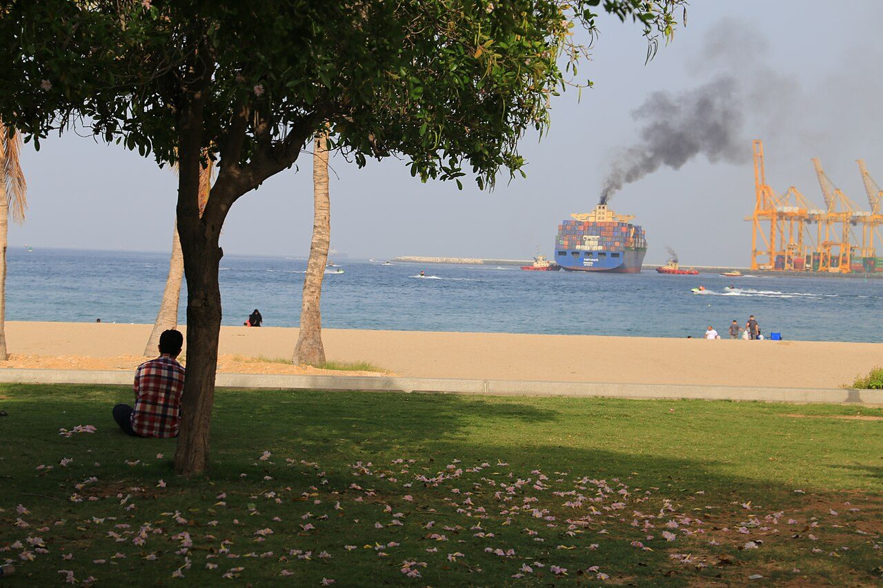 A large container ship trailing dark smoke sails past yellow port cranes on calm blue water, seen from a grassy beachfront park where a man sits under a tree