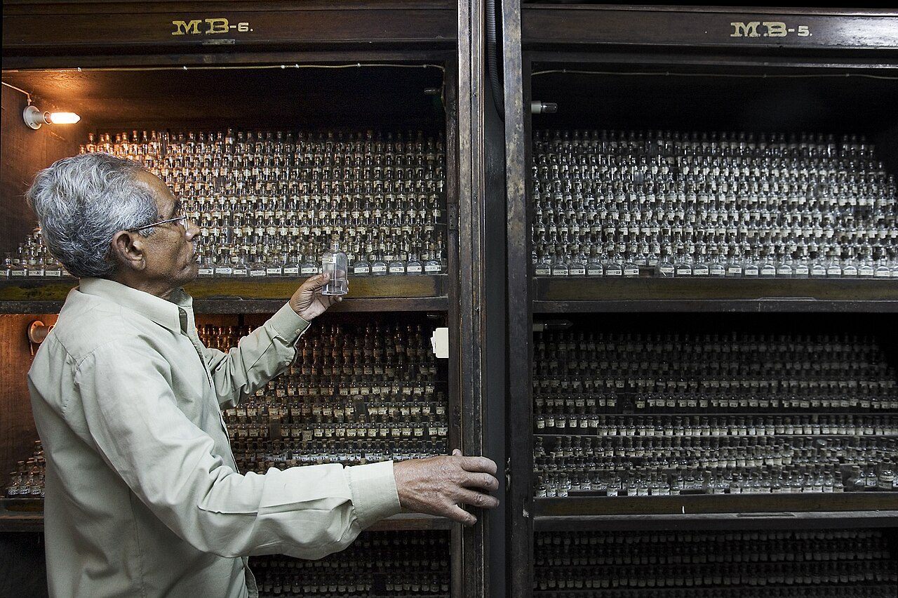 A man in a light shirt reaches for small glass bottles in tall, crowded wooden pharmacy cabinets
