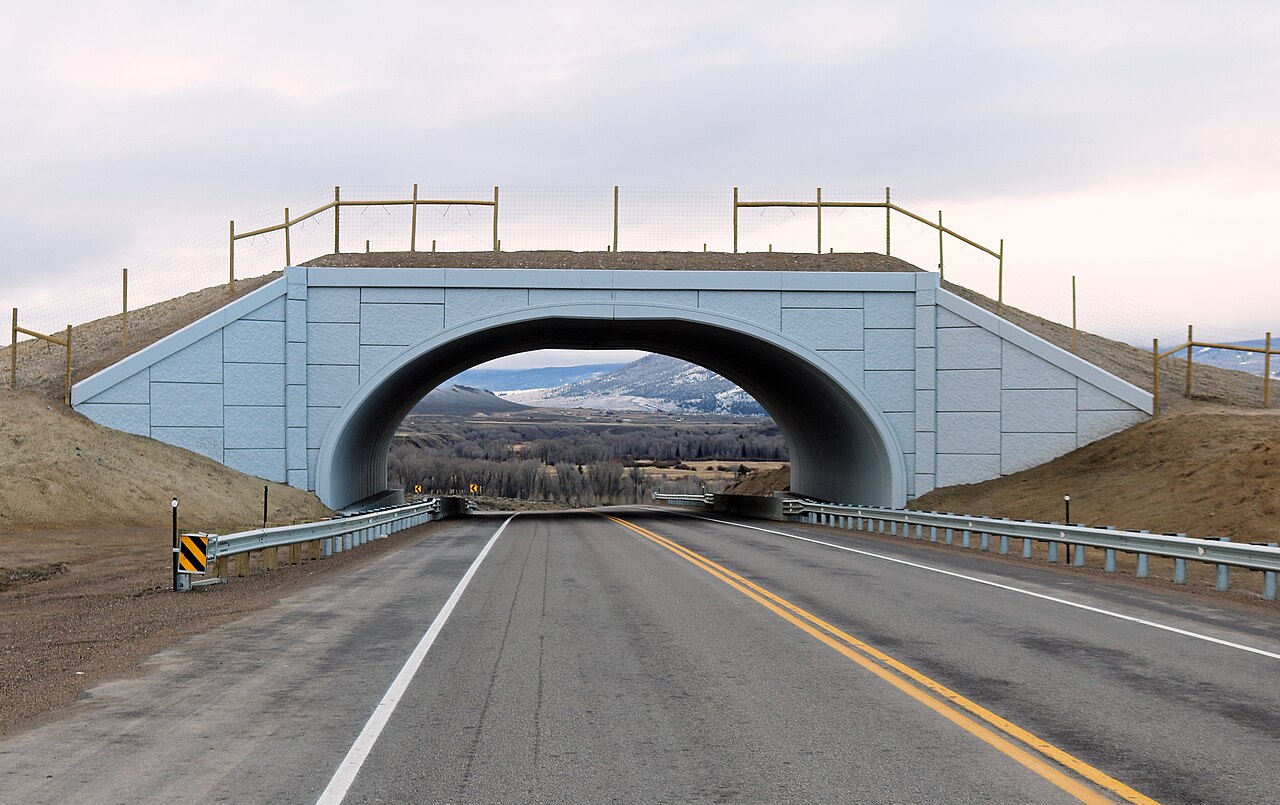 A grass-covered wildlife overpass crossing a two-lane highway in Colorado