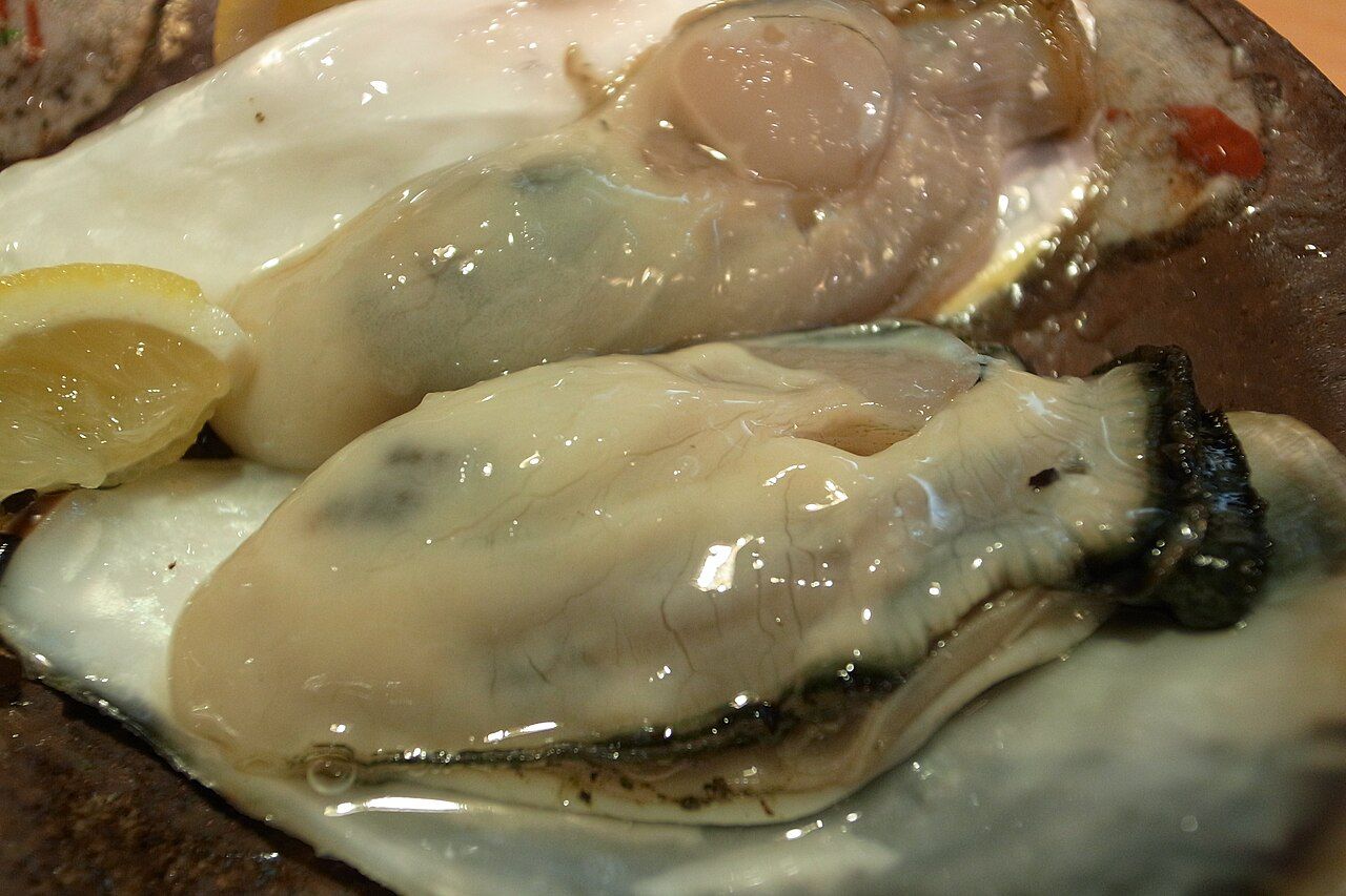 Close-up of raw oysters on the half shell with a lemon wedge