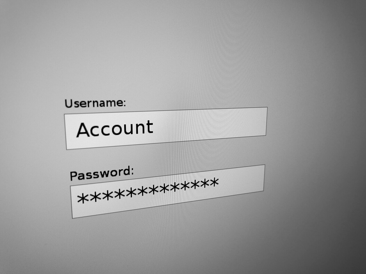 A computer screen showing username and password fields