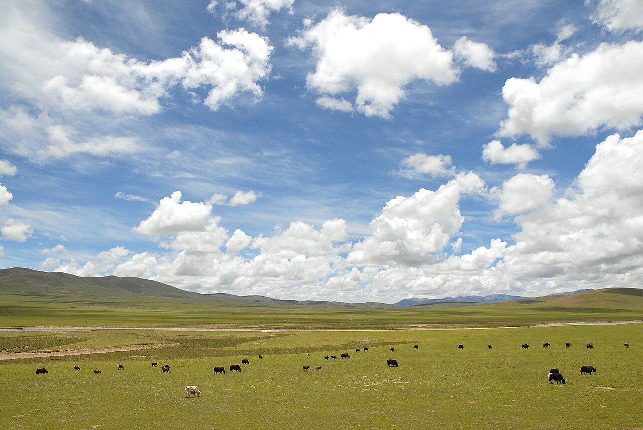Mountains and grassland in Tibet under a blue sky