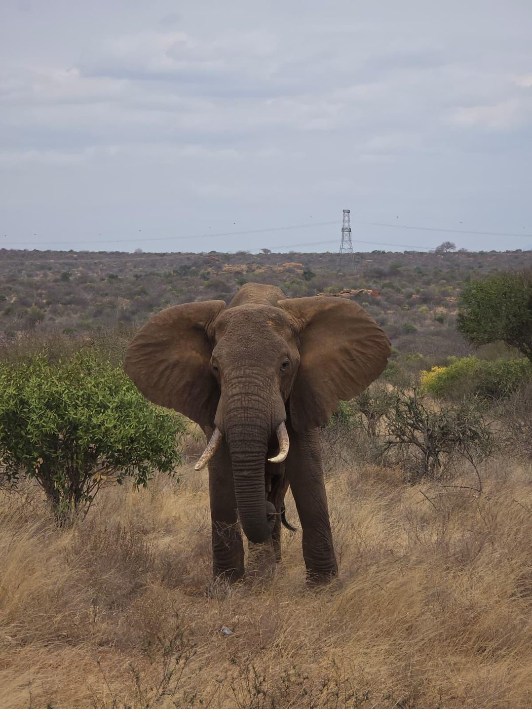 Highway scene in Kenya