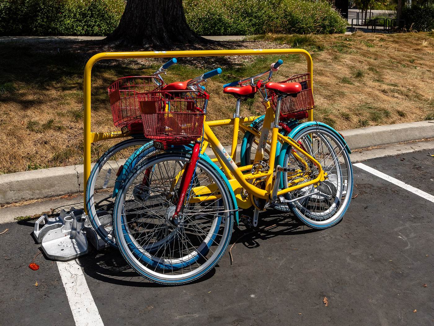 Google bikes on the company campus